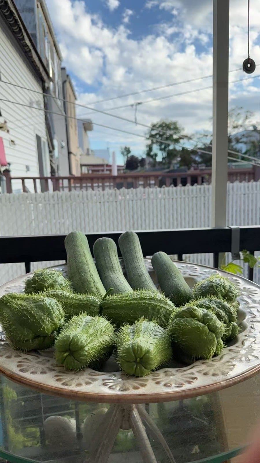 image of plate of melons