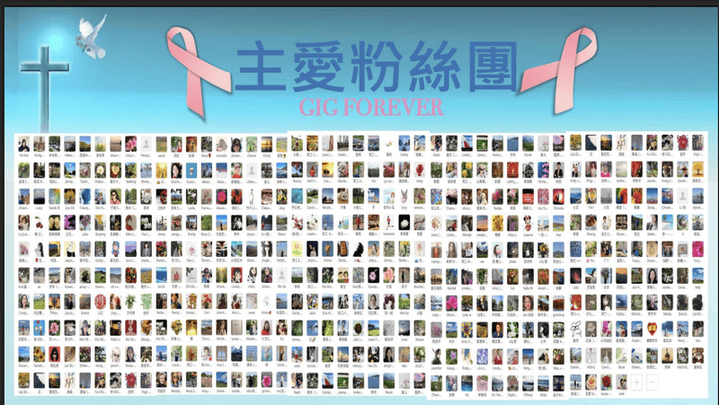 collage of images that are really hard to see since the quality is bad